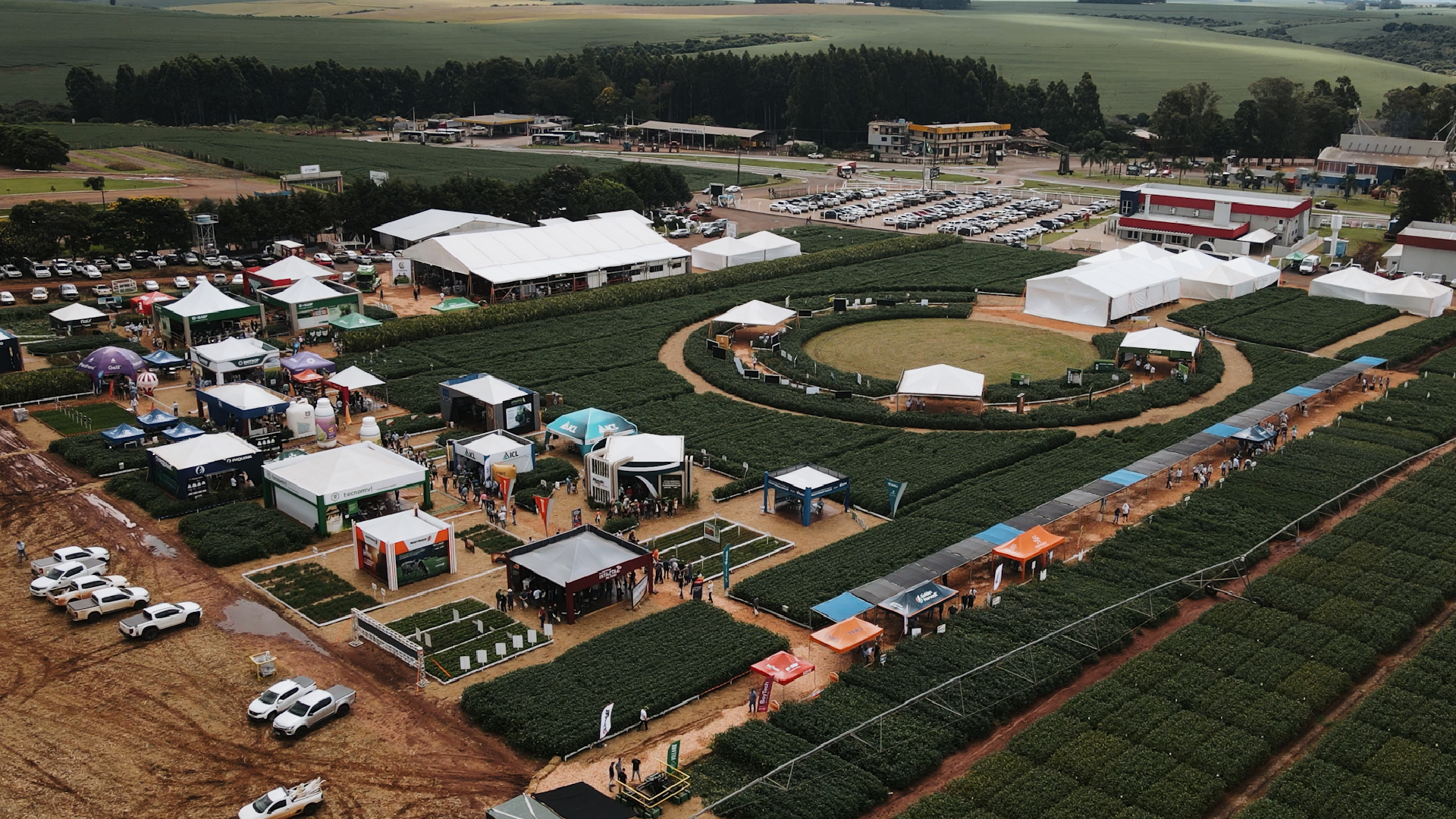 Galeria Cropshow