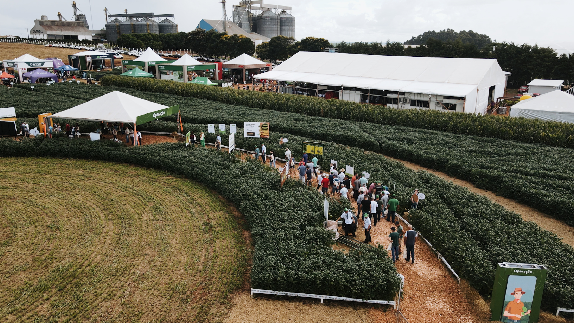 Galeria Cropshow